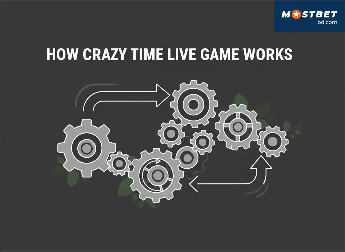 How Crazy Time Live Game Works