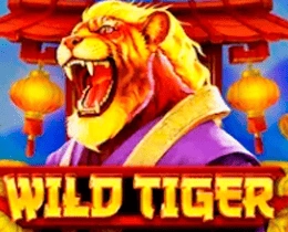 mostbet wild tiger